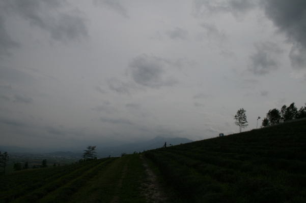 f0077159_07862.jpg