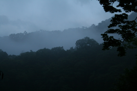 f0077159_1833199.jpg