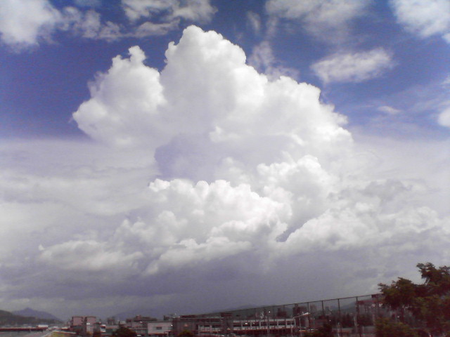 b0112661_1229353.jpg