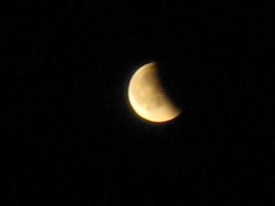 f0046262_2335459.jpg