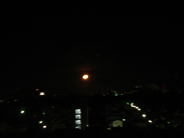 f0132565_103742.jpg
