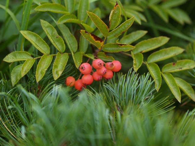 d0025568_17465550.jpg