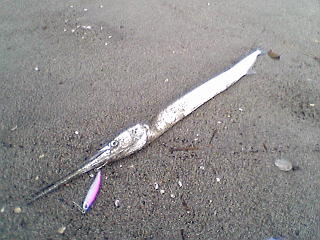 a0096669_20132222.gif