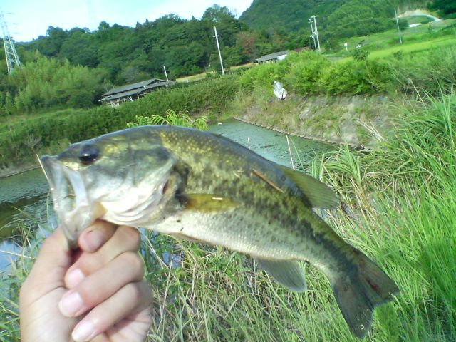 c0135271_2241192.jpg