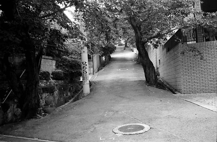 c0131875_22121418.jpg