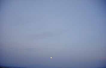 e0126576_8362124.jpg
