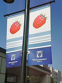 a0063280_825775.jpg