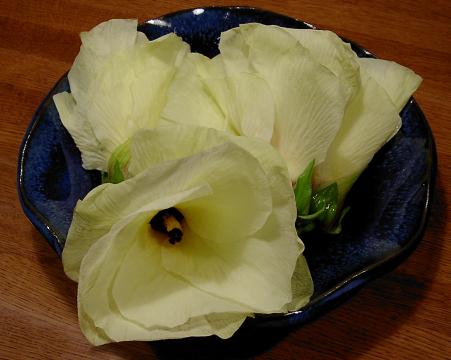 a0091680_21414014.jpg