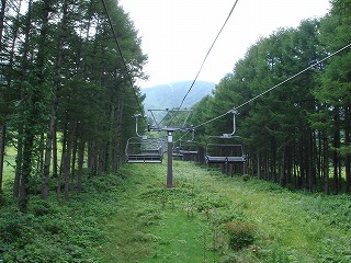 a0105281_1927814.jpg