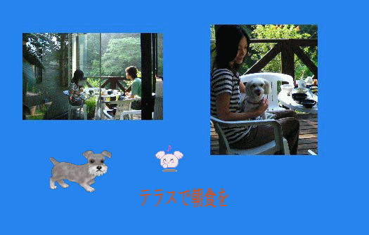 e0060987_20424840.gif