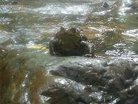 f0069890_22573225.jpg