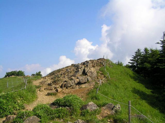 c0034595_2003538.jpg