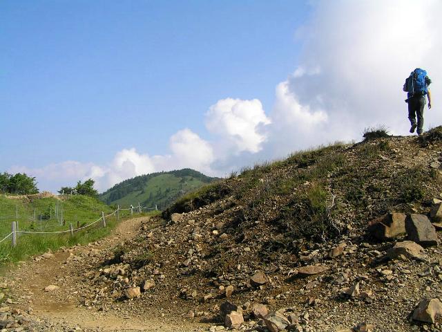 c0034595_201371.jpg