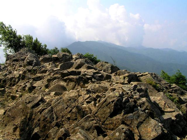 c0034595_2016426.jpg