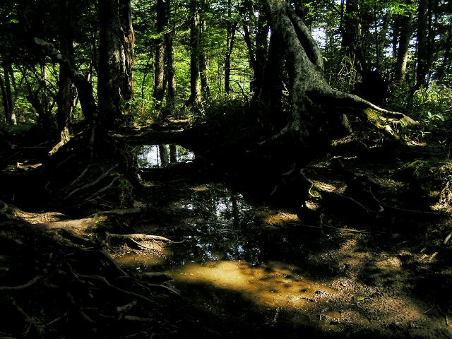 c0034595_20215117.jpg