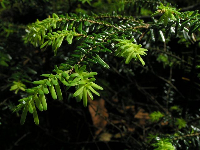 c0034595_20261453.jpg