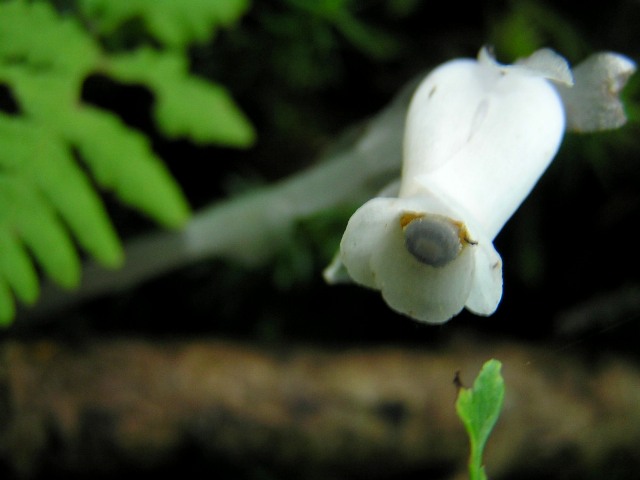 c0034595_20301272.jpg