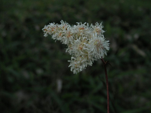 c0034595_2071815.jpg