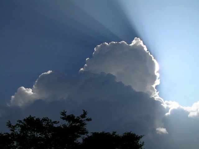 c0034595_2083318.jpg