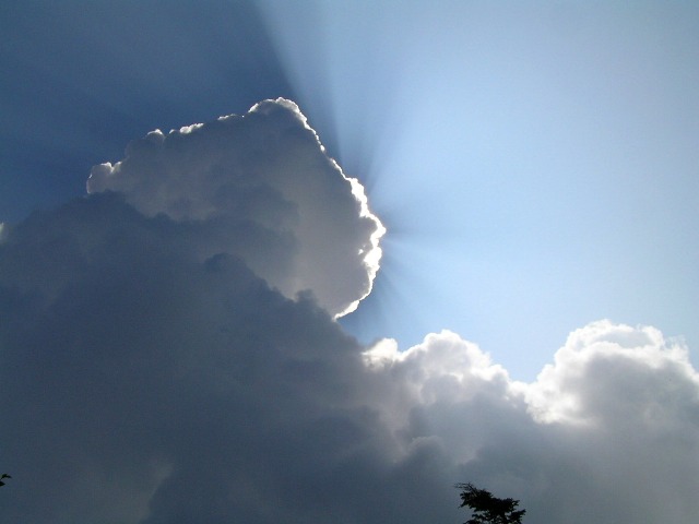 c0034595_2085217.jpg
