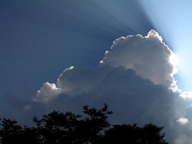 c0034595_2093699.jpg
