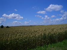 f0127098_8172139.jpg