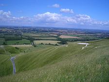 f0127098_8365415.jpg