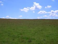 f0127098_836655.jpg