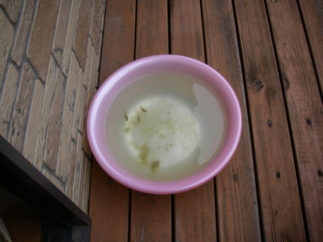 e0010301_15322739.jpg