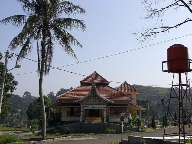 d0072204_1175193.jpg