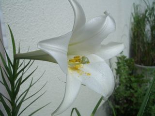 b0061107_034740.jpg