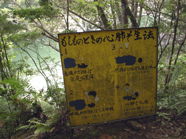 a0008508_3122325.jpg