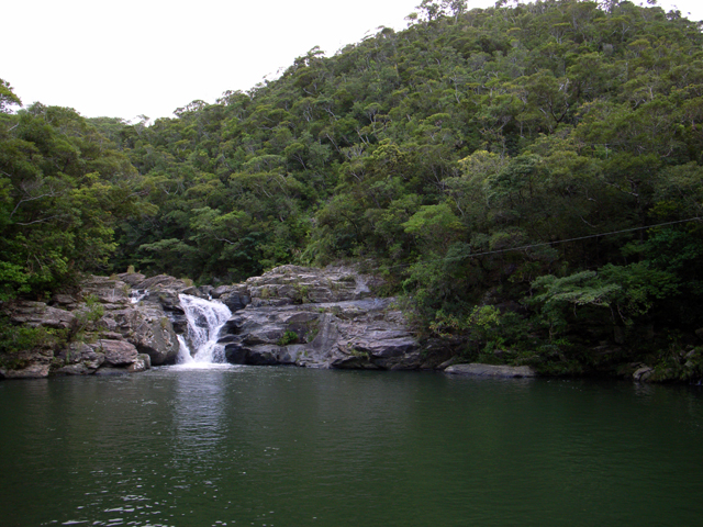a0008508_361177.jpg