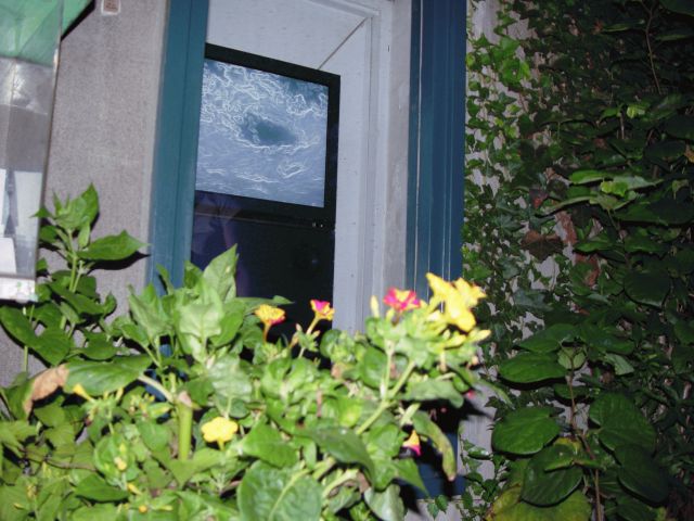 d0069011_2355543.jpg