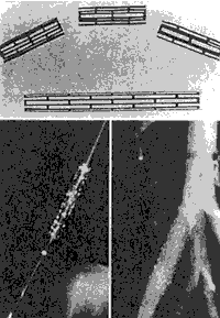 a0055913_024221.gif