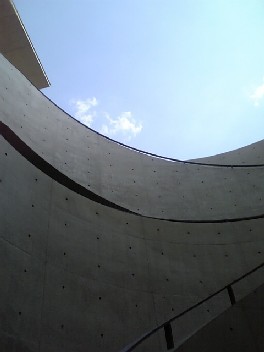 d0111217_8302526.jpg