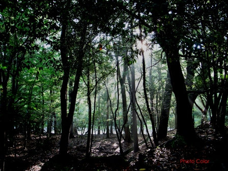 f0078127_846416.jpg