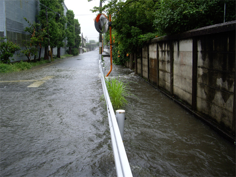 f0128527_22135242.jpg