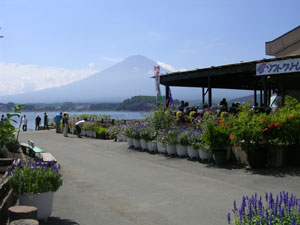 c0022231_0155133.jpg