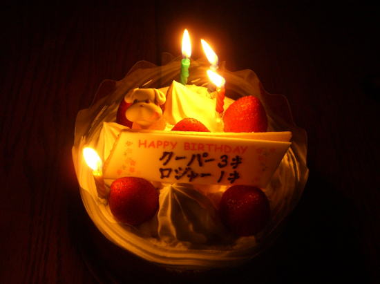 f0094843_0463595.jpg