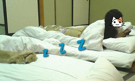 c0025852_106146.gif