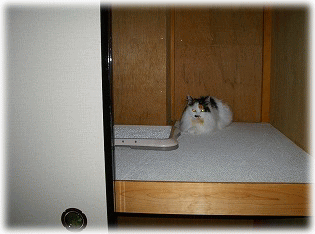c0025852_924496.gif