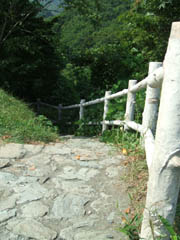 c0097856_0345516.jpg
