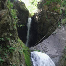 c0097856_0493217.jpg