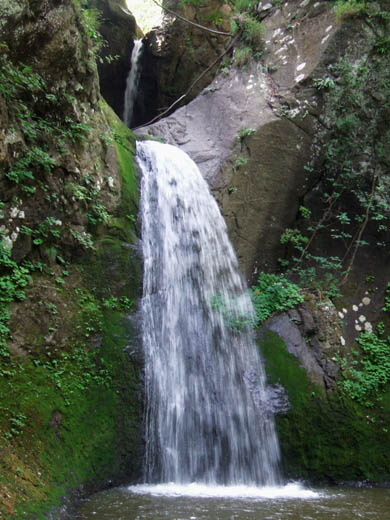c0097856_0542314.jpg
