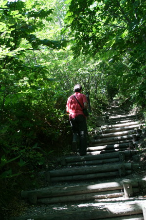 f0077159_7143258.jpg