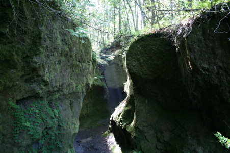 f0077159_76256.jpg