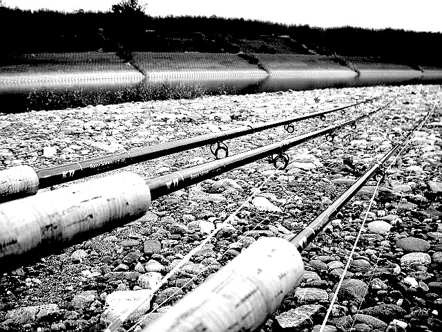 f0084561_13201858.jpg