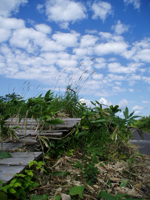 d0018763_22565364.jpg