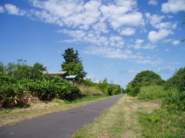 d0018763_22571263.jpg